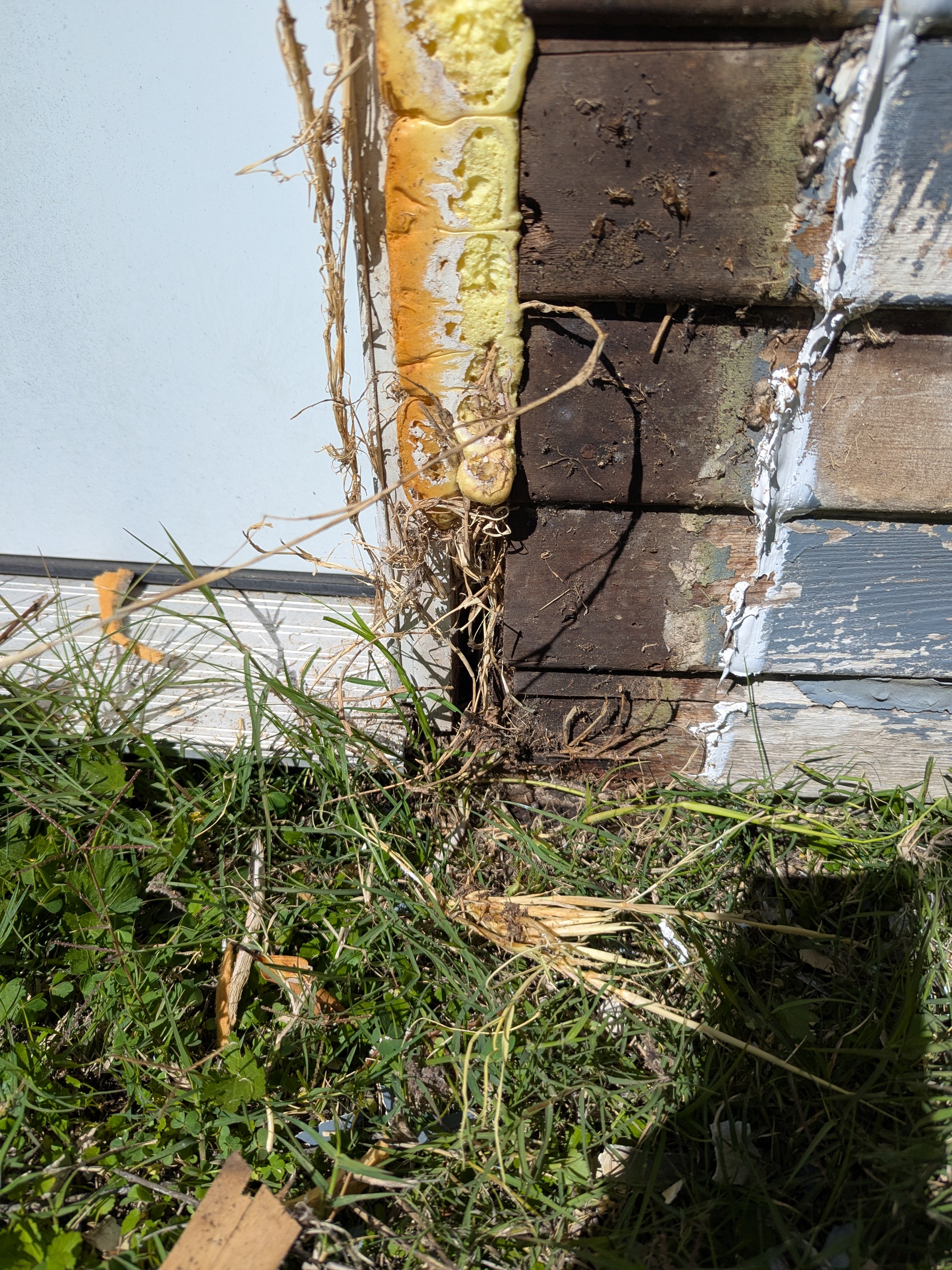 10 - Replacing Rotted Trim